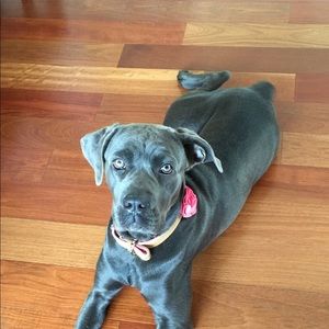 Meet your Posher, Diedre